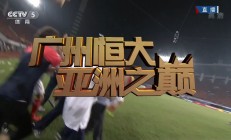 九游体育中国官网-勇夺冠军的队伍已经成为亚洲顶级球队