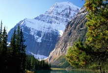 九游体育入口-凯文连续进球 空门射手成比赛焦点，凯文又来挑战了