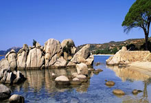 -北京客场平河南，稳固积分榜，再下一城展望未来