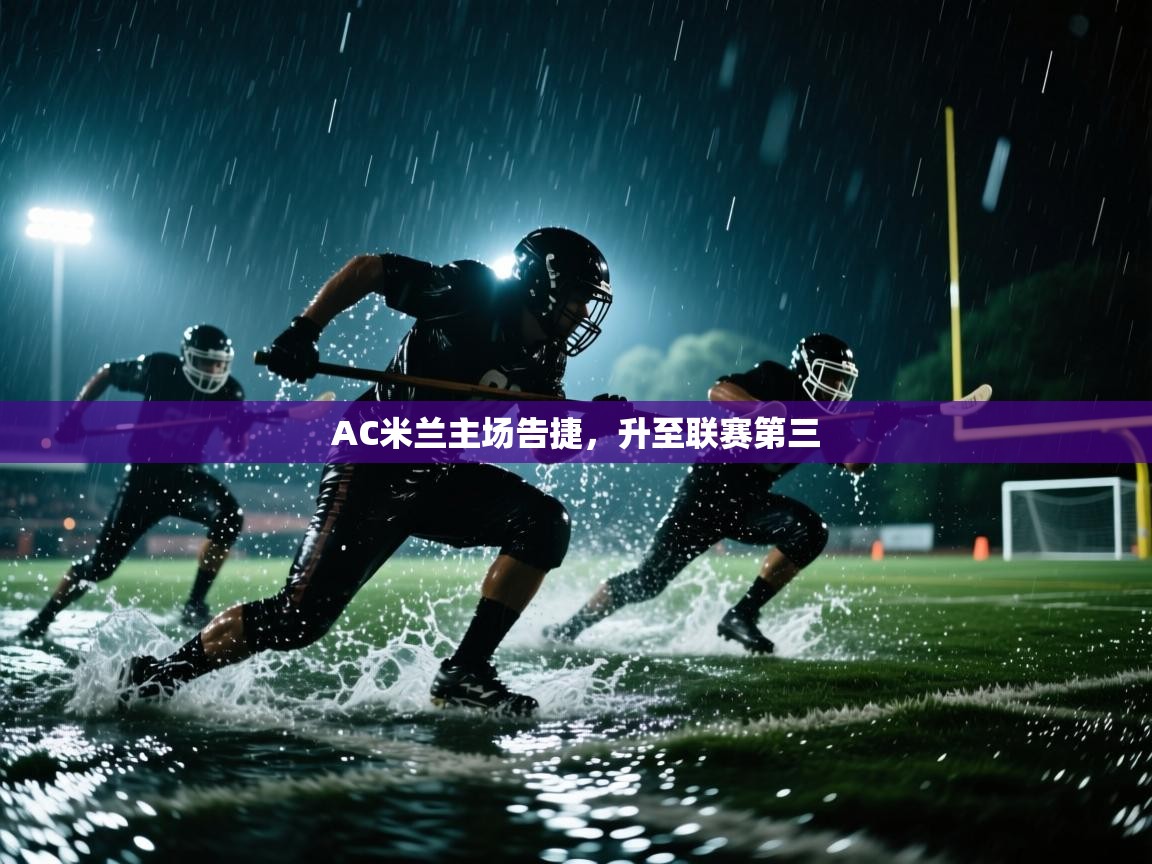 AC米兰主场告捷,升至联赛第三 第2张