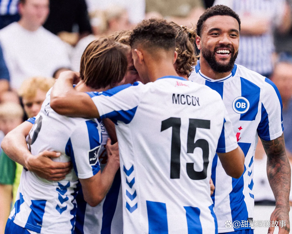 丹麦队在对阵芬兰队的比赛中创造奇迹